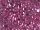 Fabric Color: Dusty Pink