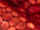 Fabric Color: VibranceMesh