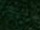 Fabric Color: Holly
