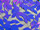 Fabric Color: Purple