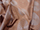 Fabric Color: Terracotta (301)