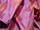 Fabric Color: Fushia (238)