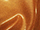 Fabric Color: Copper (2527)