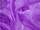 Fabric Color: Purple (10)