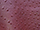 Fabric Color: Carmin(Wine) (0925)