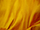 Fabric Color: Gold (2012)