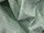 Fabric Color: Bottle Green