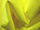 Fabric Color: Yellow