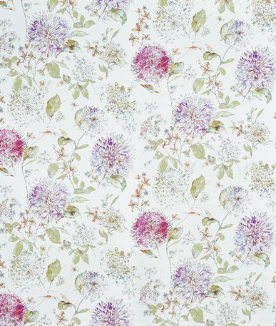Lila - Bloom Collection
