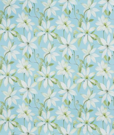 Olivia - Bloom Collection