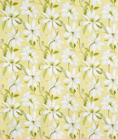 Olivia - Bloom Collection