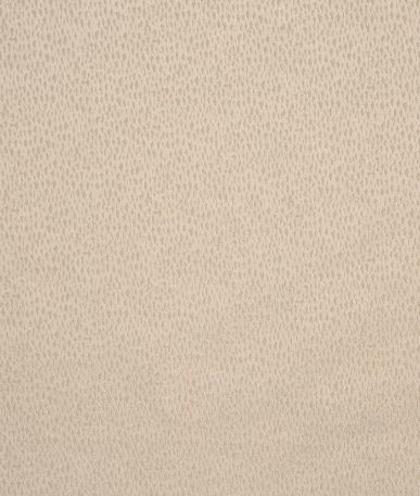 Facade  Icon Collection