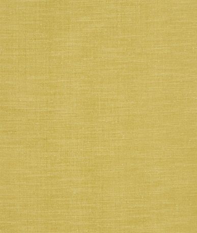 Tussah Collection