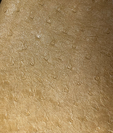 Ostrich Textured leatherette Soliena 