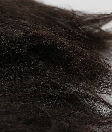  Wolf Long Hair Fur (D)