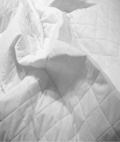 Quilted Poly Cotton Fabric
