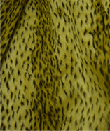 Printed Animal Furs