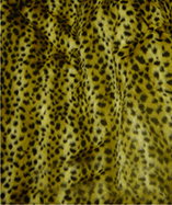 Printed Animal Furs