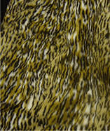 Printed Animal Furs