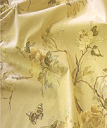 Delfina - Gallery Collection