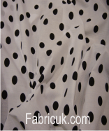 Spots Polka Dots - White Ground