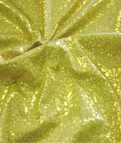 Holographic Splatter/Cheetah Lycra Fabric