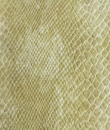 Snake Skin Textured Fabric Sopythana | Dune (0938)