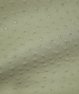 Ostrich Textured leatherette Soliena 