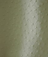 Ostrich Textured leatherette Soliena 