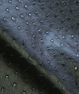 Ostrich Textured leatherette Soliena 