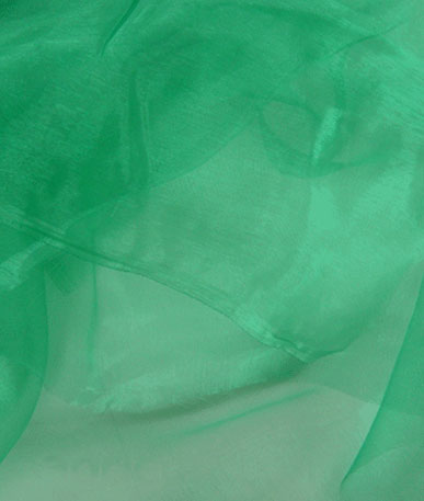 Organdy Nylon Fabric (412)