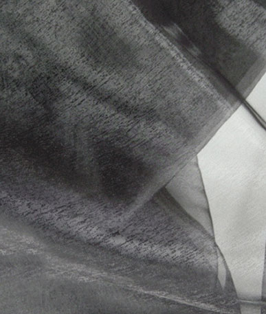 Organdy Nylon Fabric (412)