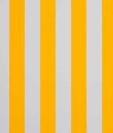 Awning Fabric Block Stripe | Jaune (8553)