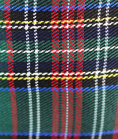 Waterproof Polyester Tartan (D)