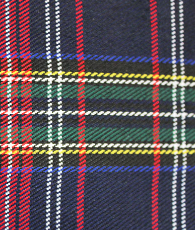Waterproof Polyester Tartan (D)