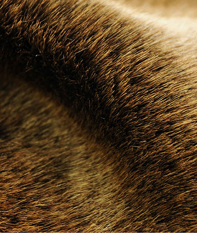 Fur bearing. Мех медведя. Искусственный мех для медведей. Мех медведь краска. Jr7d мех.
