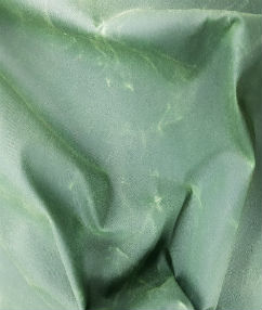 Waxed Fabric