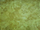 Atkinson Upholstery Fabric