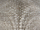 Bowers Upholstery Fabric