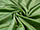 Fabric Color: Apple