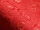 Attract Red Upholstery Fabric 