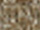 Fire Retardant Blackout Strata Fabric 