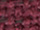 Fire Retardant Blackout Quantum Fabric