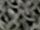 Fabric Color: Black Frost
