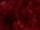 Fabric Color: Rusty Red