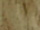 Fabric Color: Honey