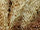 Faux Mohair Stretch Knit Fabric