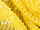 Fabric Color: Yellow
