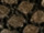 Fabric Color: Military Black