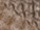 Fabric Color: Military Brown